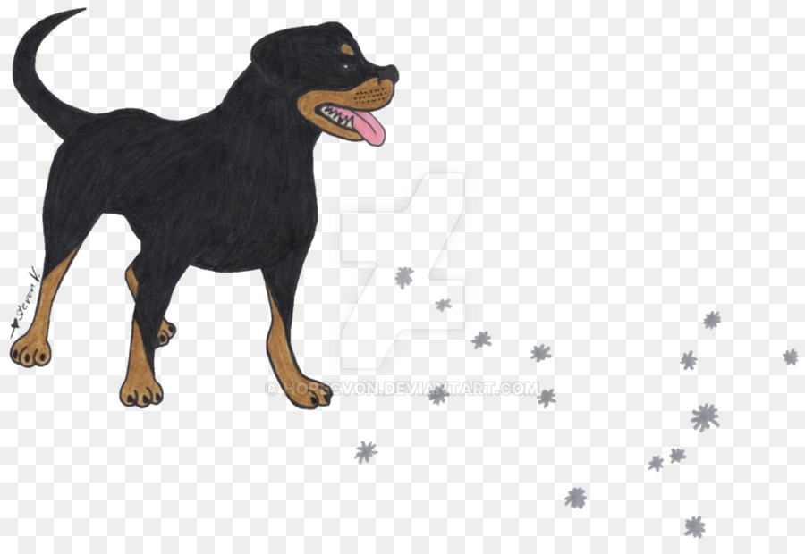 O Manchester Terrier，Rottweiler PNG