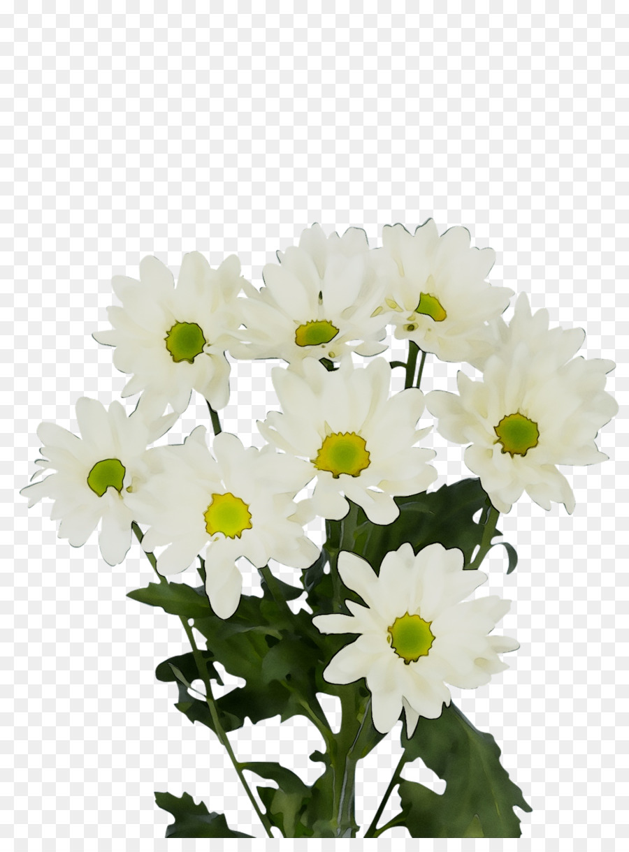 Flores Brancas，Natureza PNG