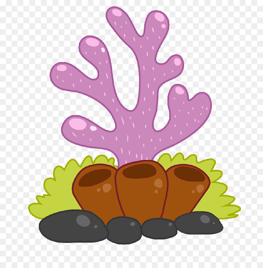 Cartoon, Coral, Desenho png transparente grátis