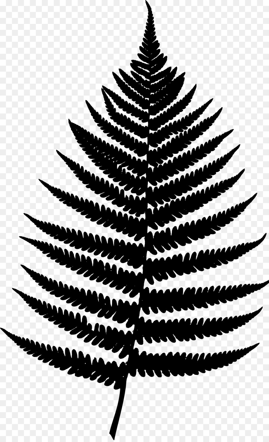 Fern，Cartaz PNG