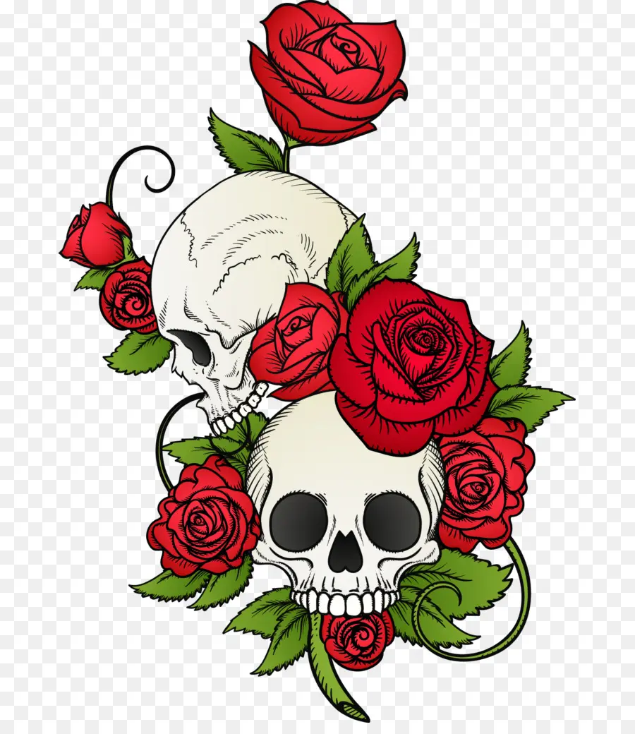 Crânio，Calavera PNG