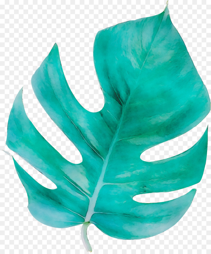 Folha Azul，Plantar PNG