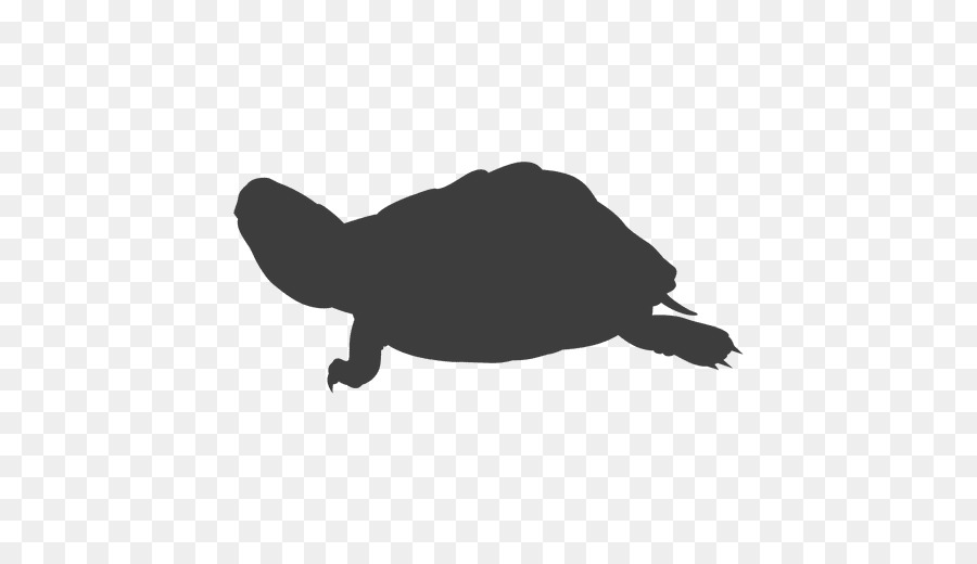 Turtle，Silhueta PNG