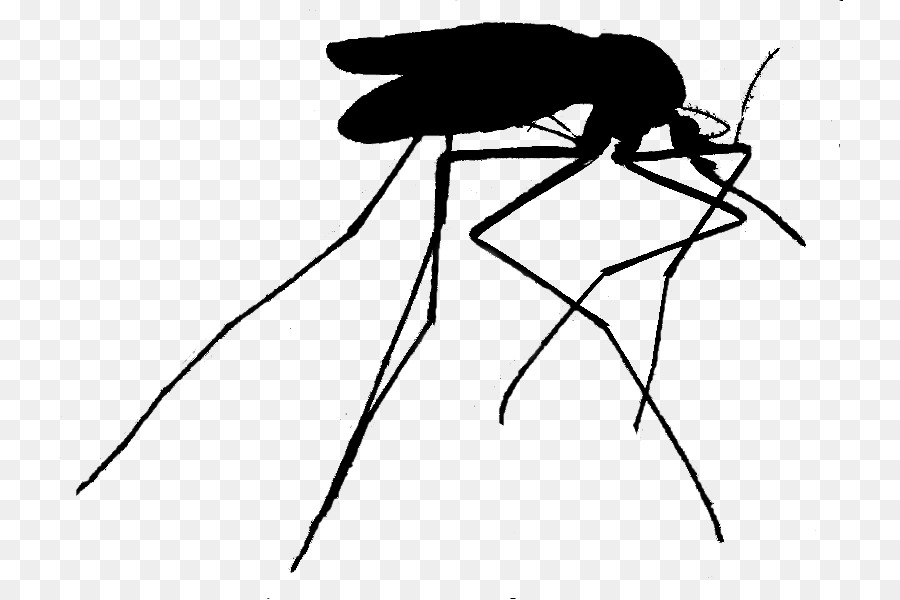 Mosquito，Erro PNG