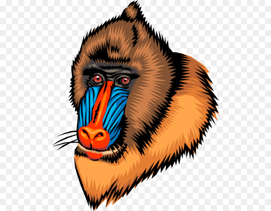 Ape，Mandril PNG