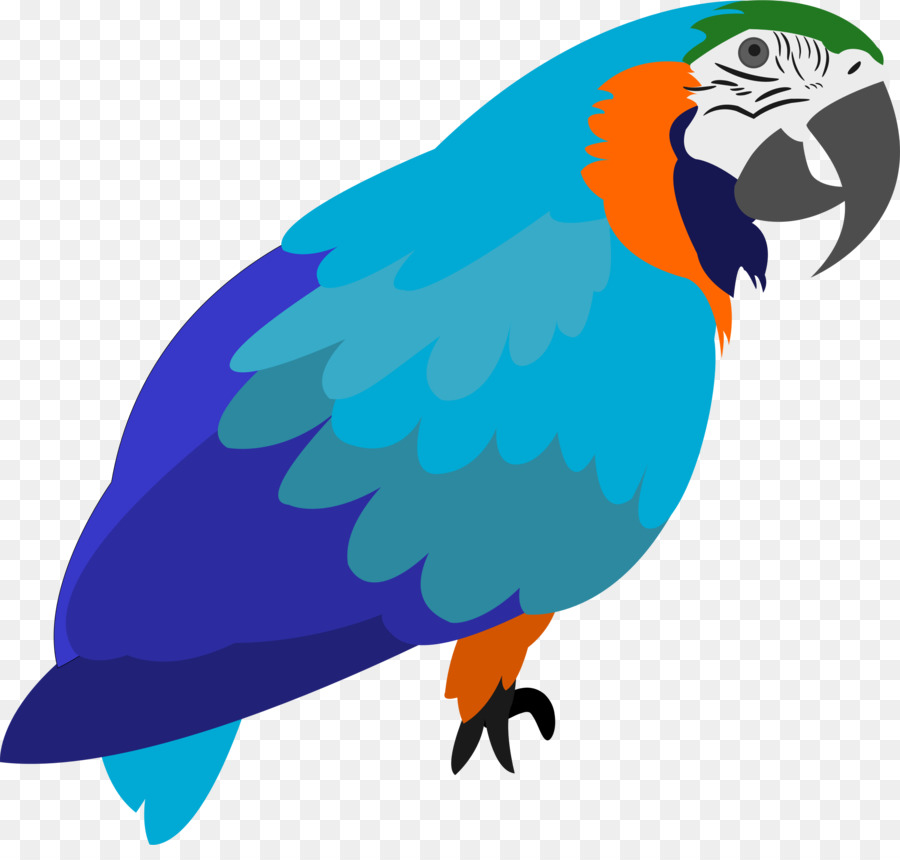 Papagaio Azul，Animal PNG