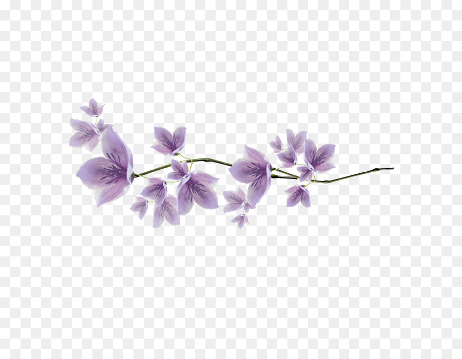 Ramo De Flor，Florescer PNG