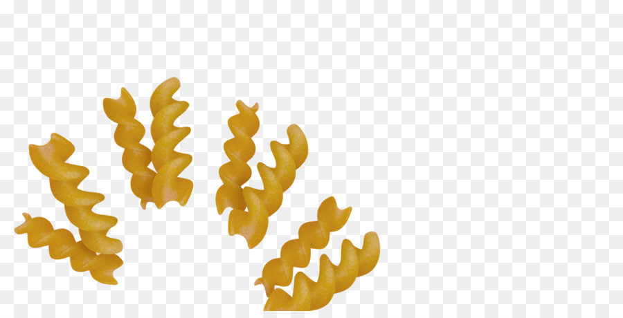 Macarrão Fusilli，Macarrão PNG