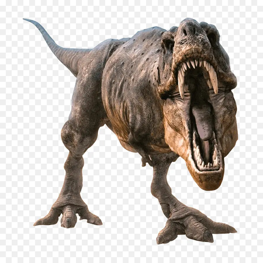 Tiranossauro，Allosaurus PNG