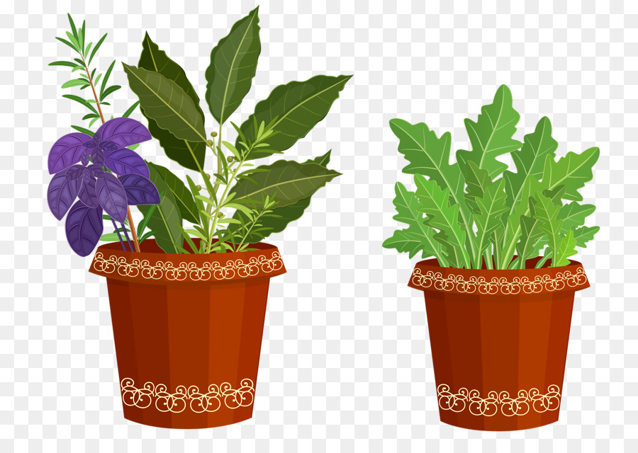 Vaso De Flores，Planta Ornamental PNG