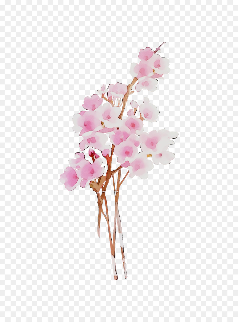 Traça Orquídeas，Flor PNG