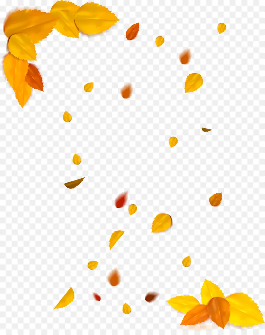 Outono，Autumn Leaves PNG