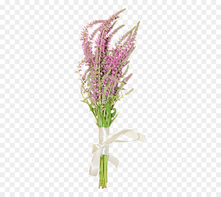 Flor，Lavanda PNG