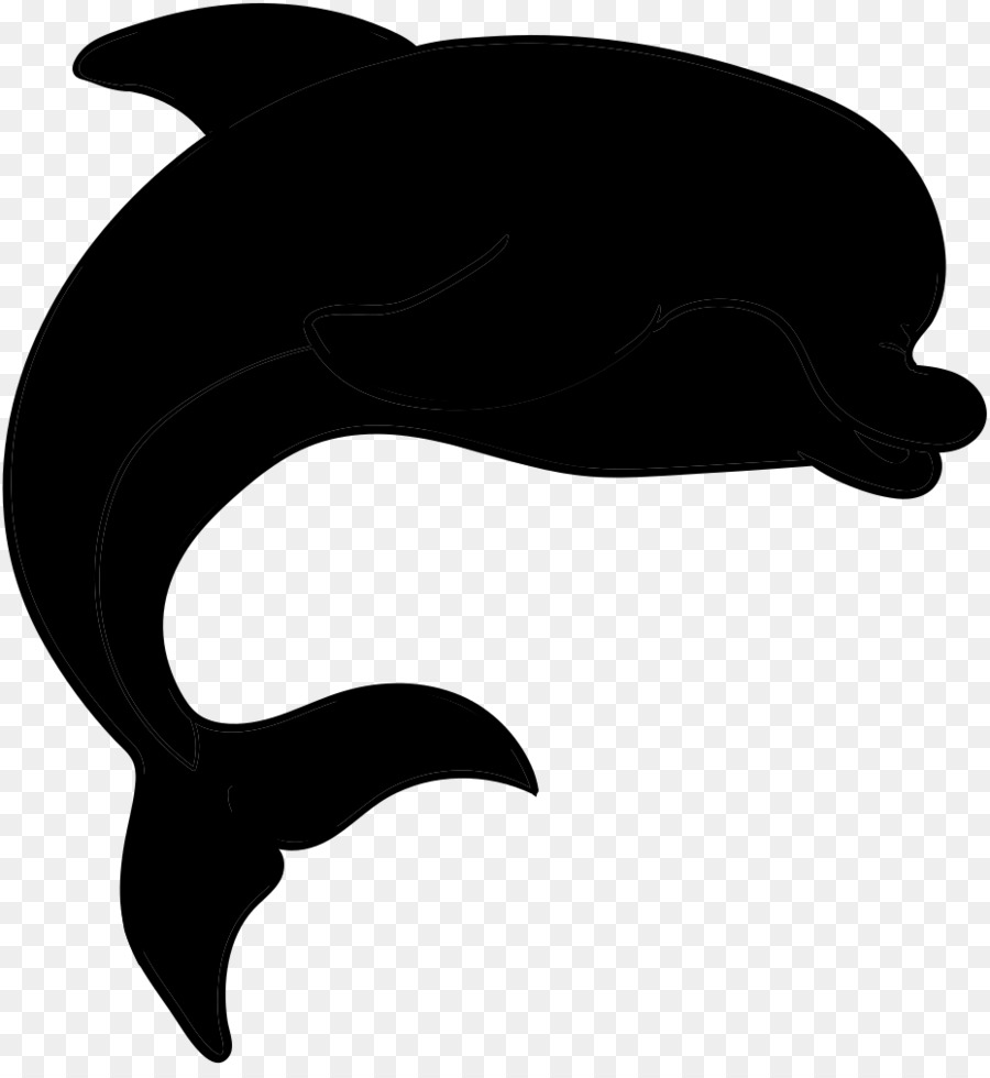 Dolphin，M Branco Preto PNG