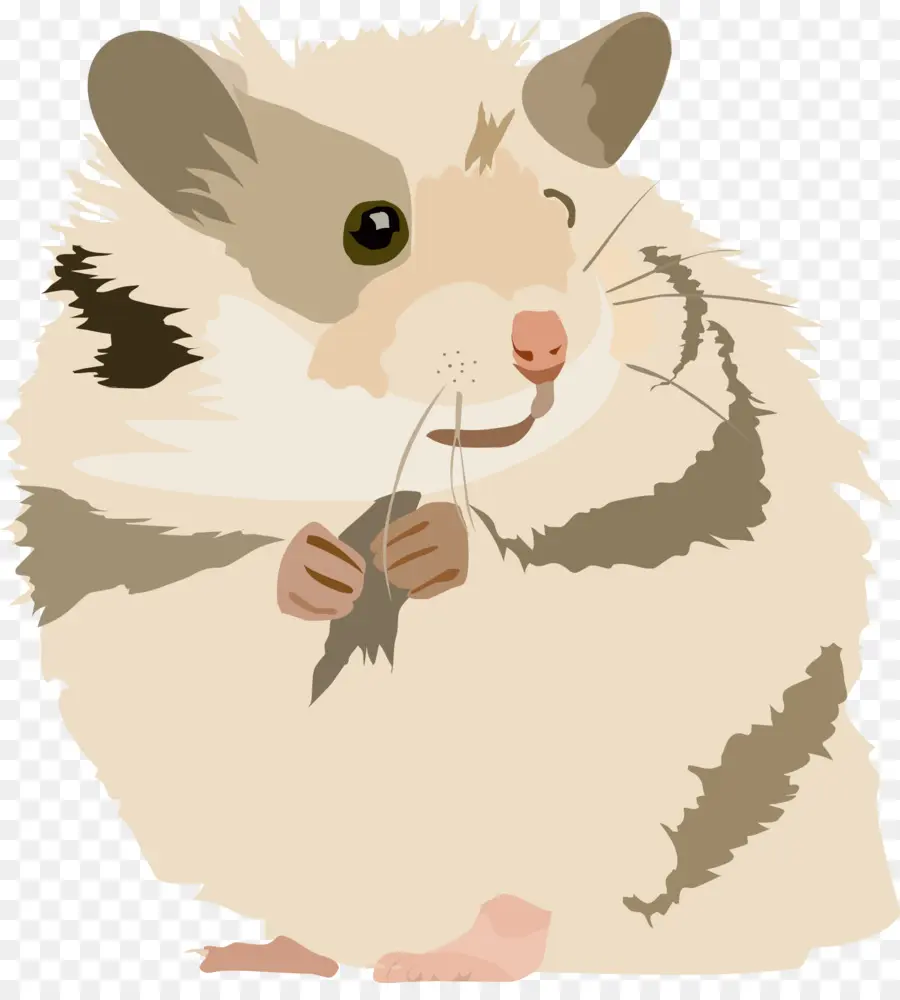 Hamster，Gerbil PNG