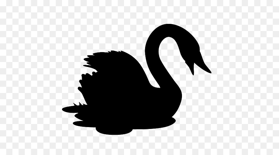 Cisne Negro，Pássaro PNG