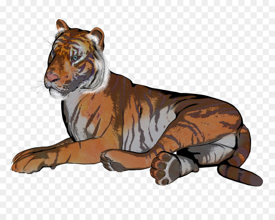 Tigre，Leão PNG