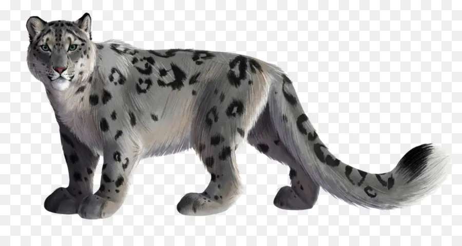 O Snow Leopard，Leopard PNG