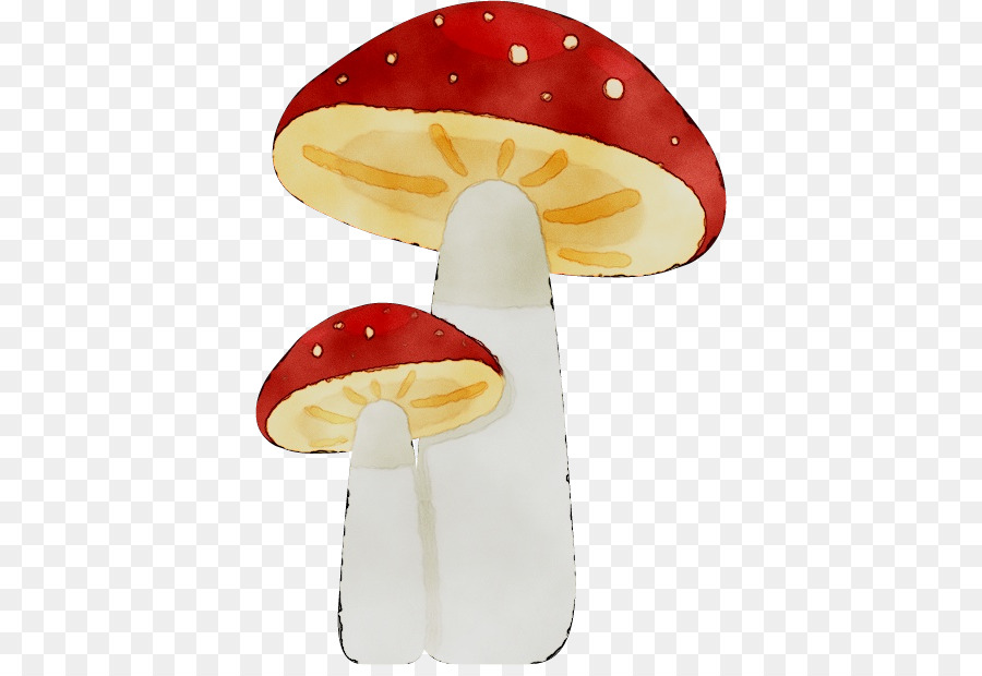 Cogumelo，Boné Vermelho PNG