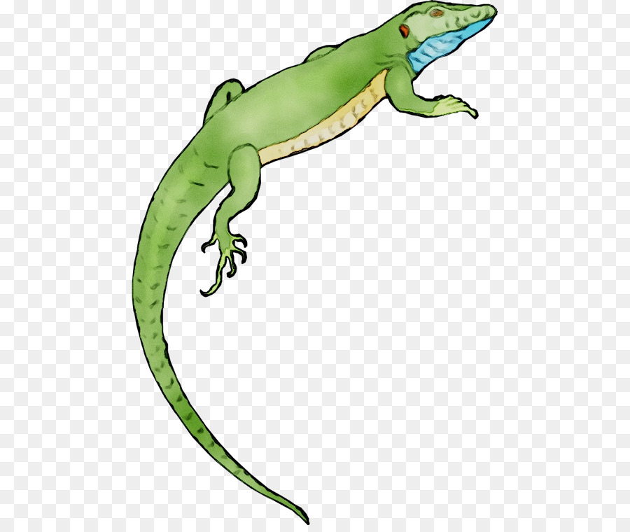 Lagarto Verde，Réptil PNG