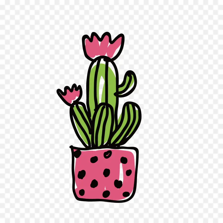 Cactus，Suculenta Planta PNG