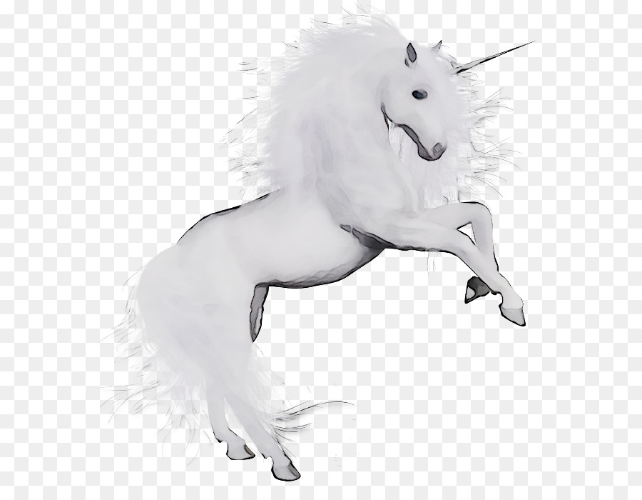 Unicórnio Branco，Fantasia PNG