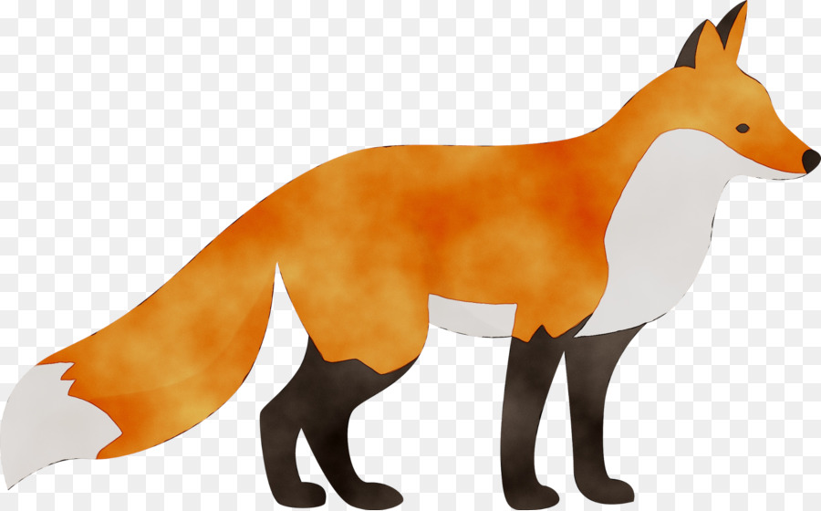 Raposa Vermelha，Fox PNG