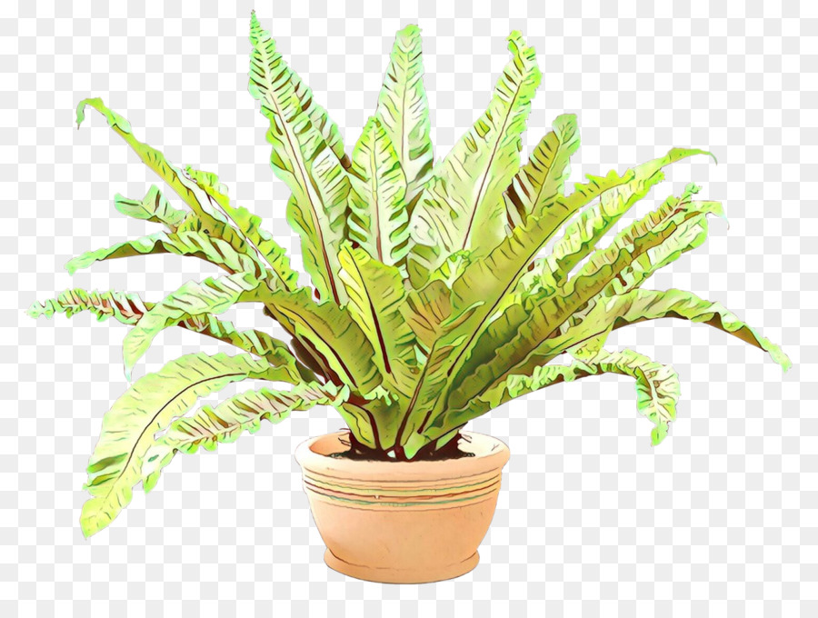 Plantar，Folhas PNG