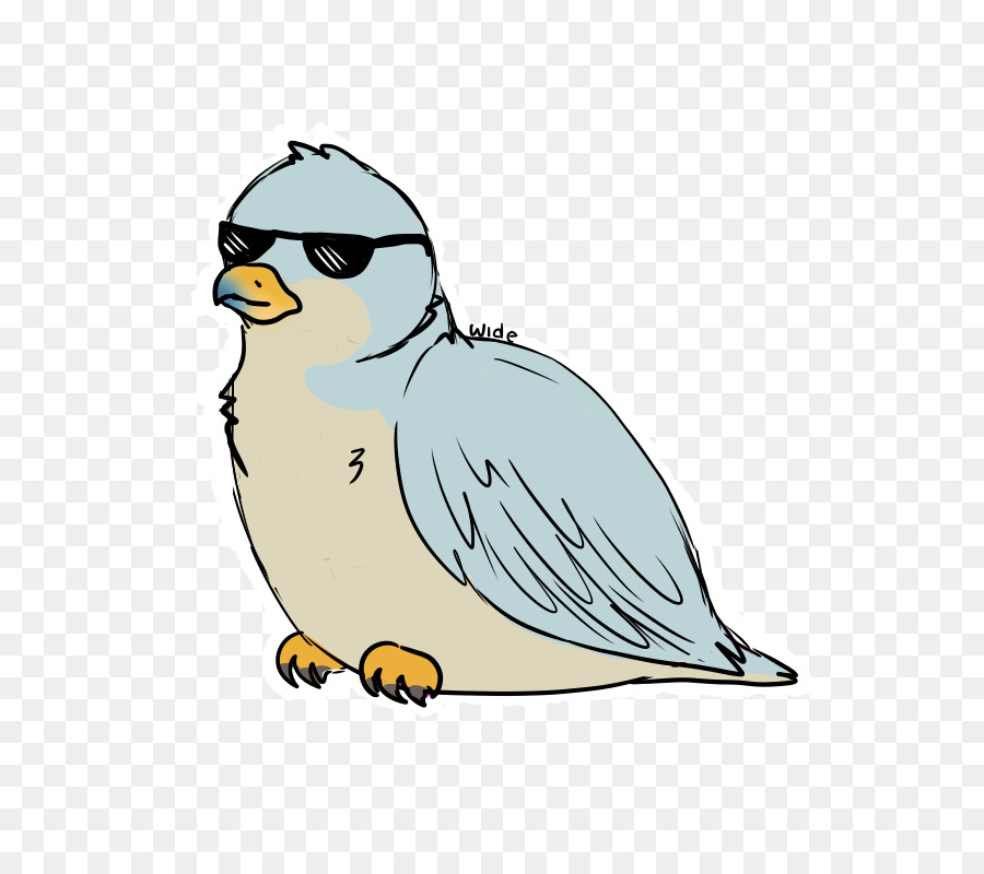 Coruja，Aves PNG