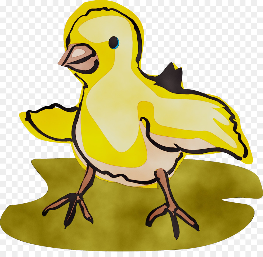 Pato，Pássaro PNG