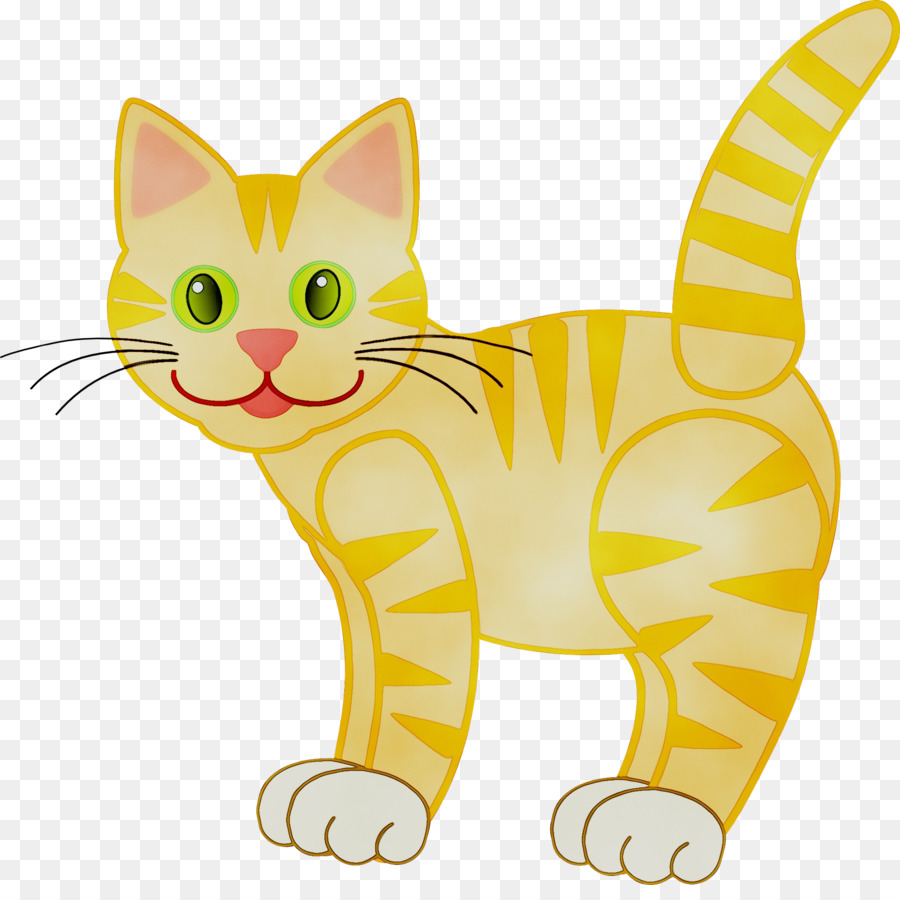 Gatinho，American Shorthair PNG