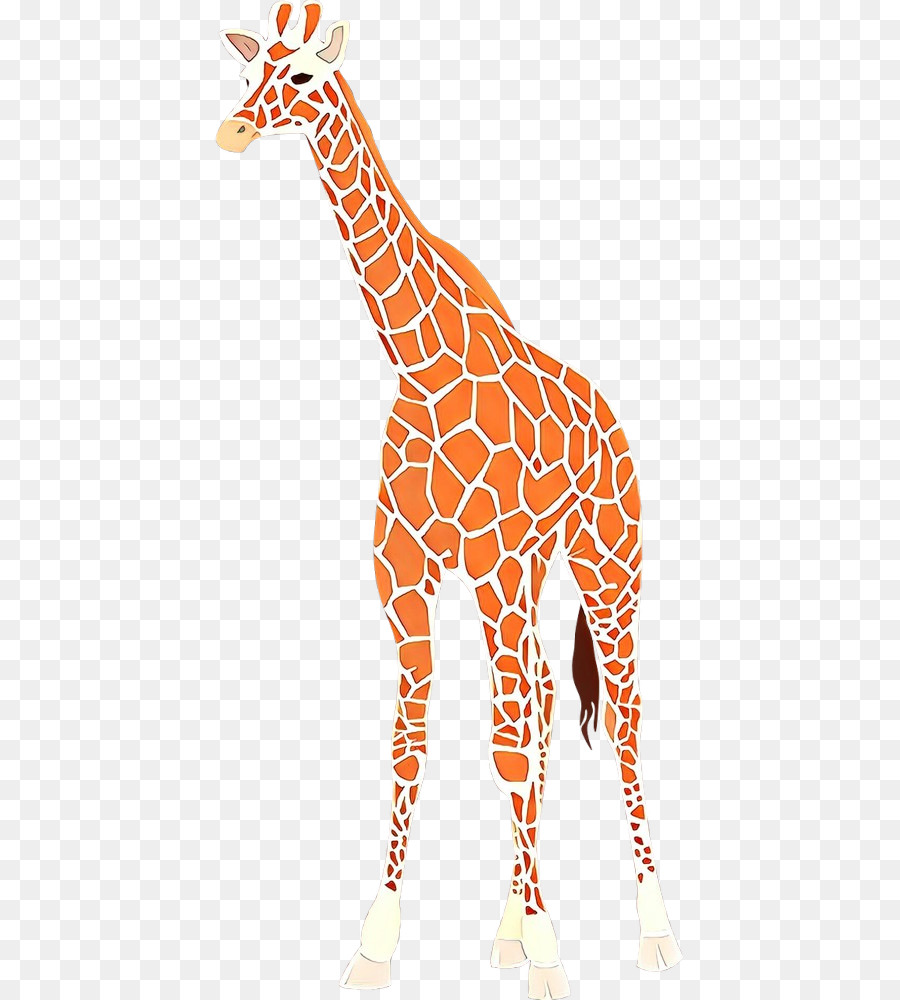 Girafa，Animais Selvagens PNG