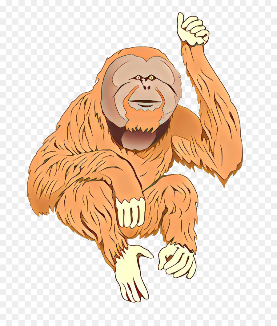 Bornean Orangotango，Ape PNG