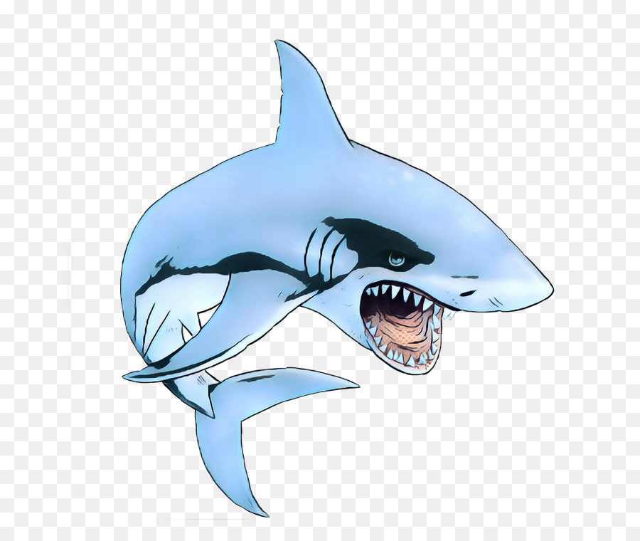 Tubarão Tigre，Baleia Assassina PNG