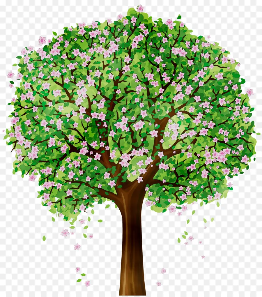 árvore，Flor PNG