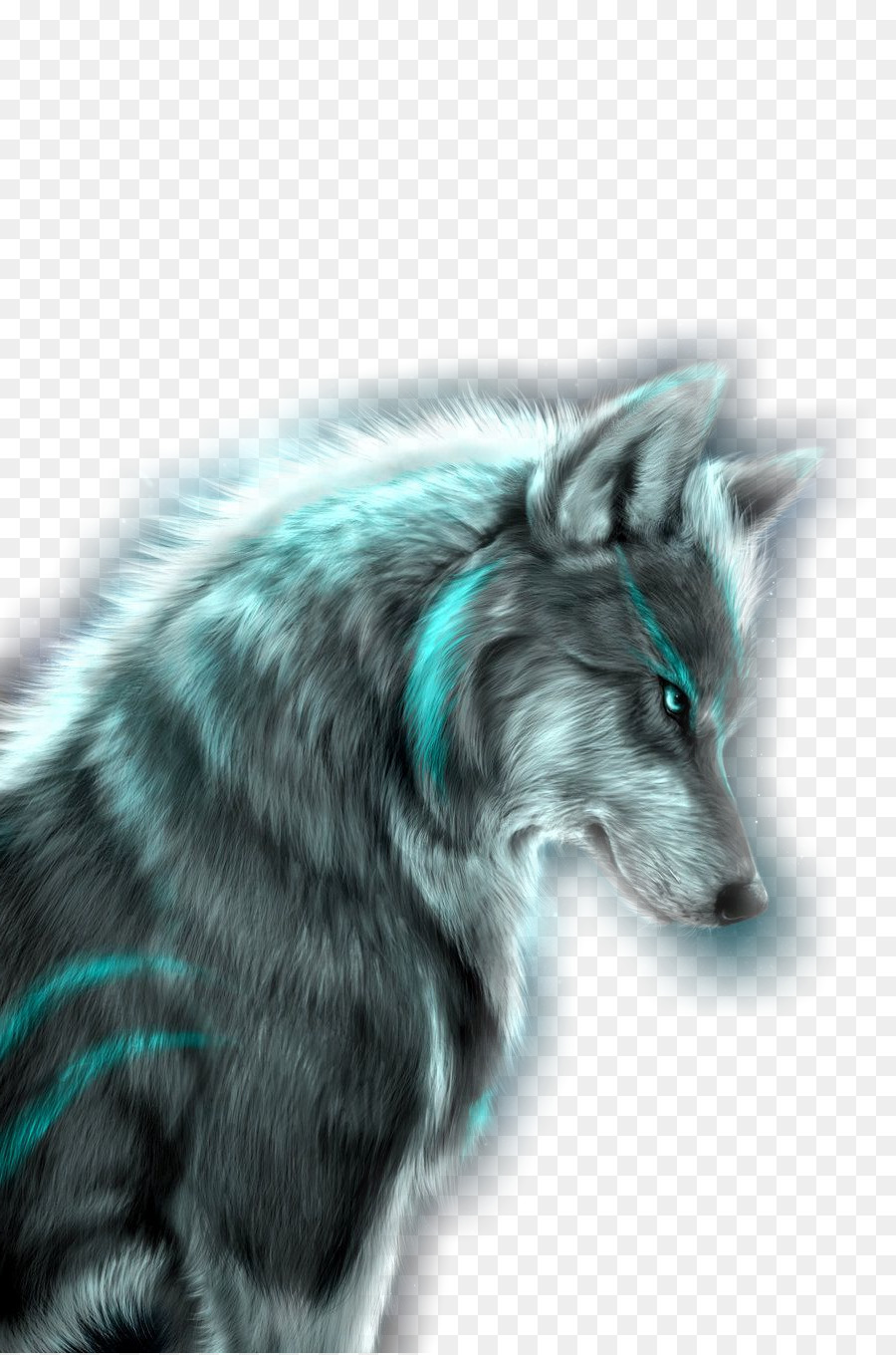 Lobo Azul，Animal PNG