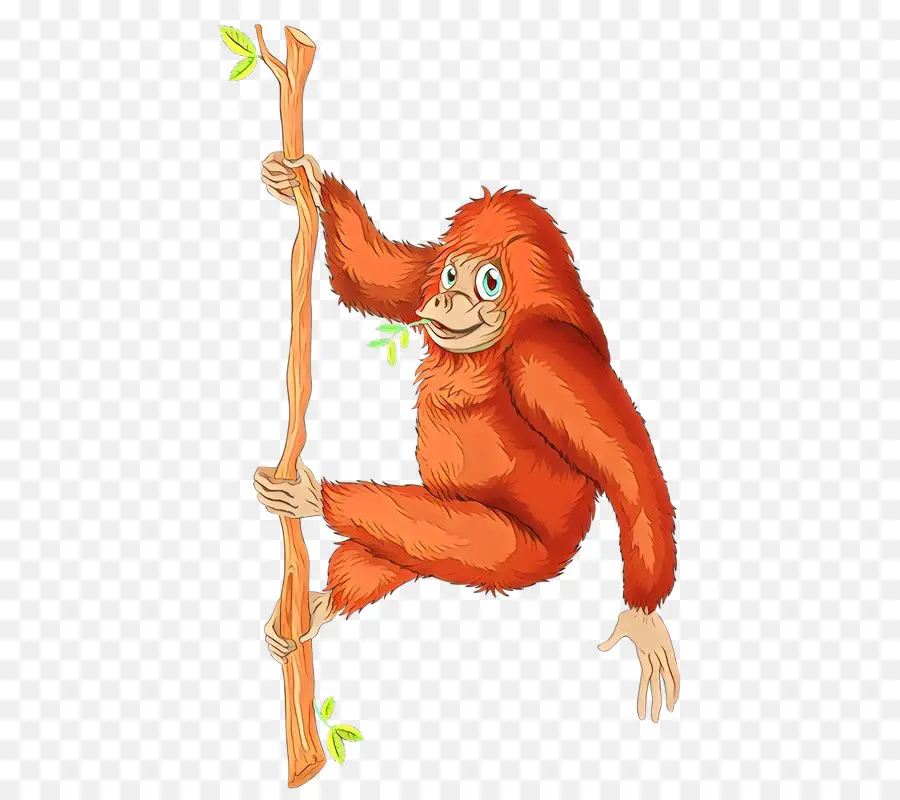 Gorila，Ape PNG