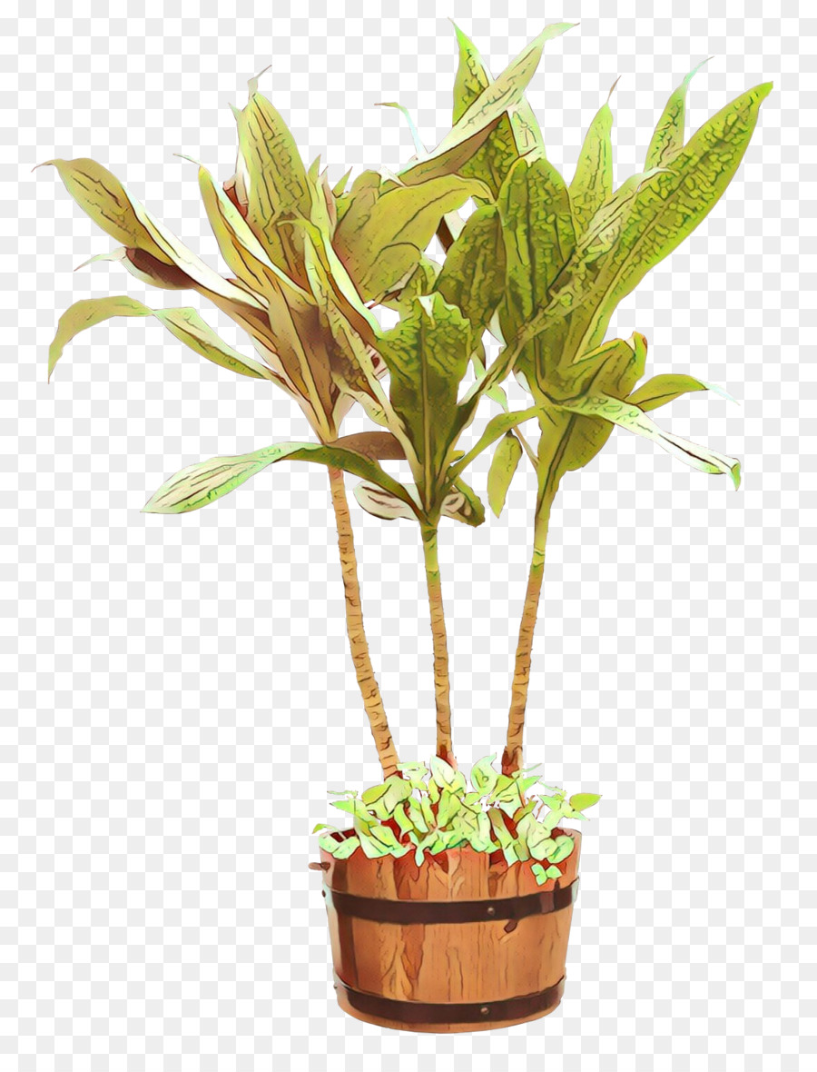 Planta Em Vaso，Folhas PNG