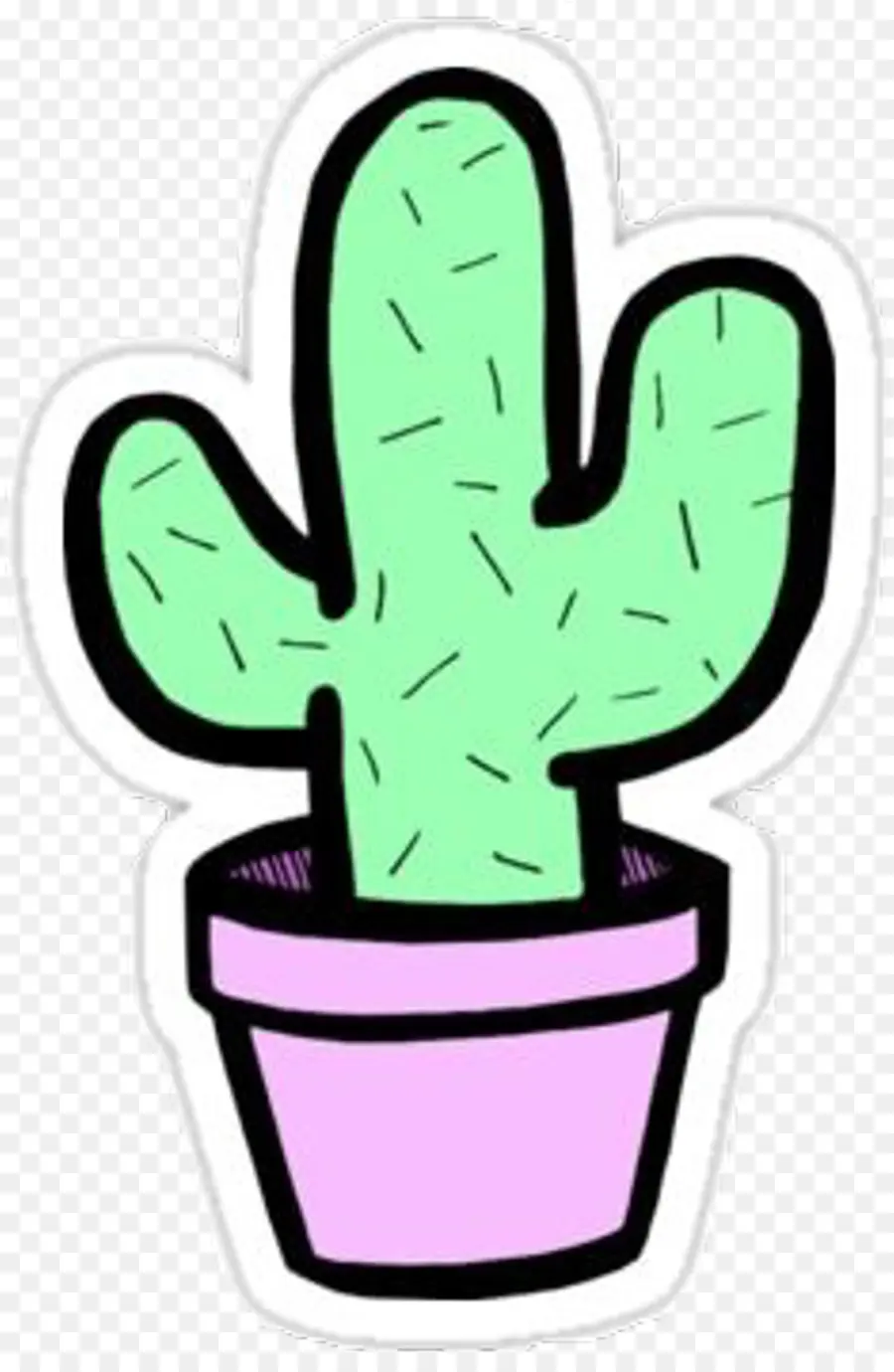 Cactus，Plantas PNG