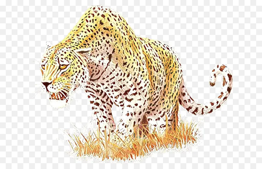 Leopard，Cheetah PNG