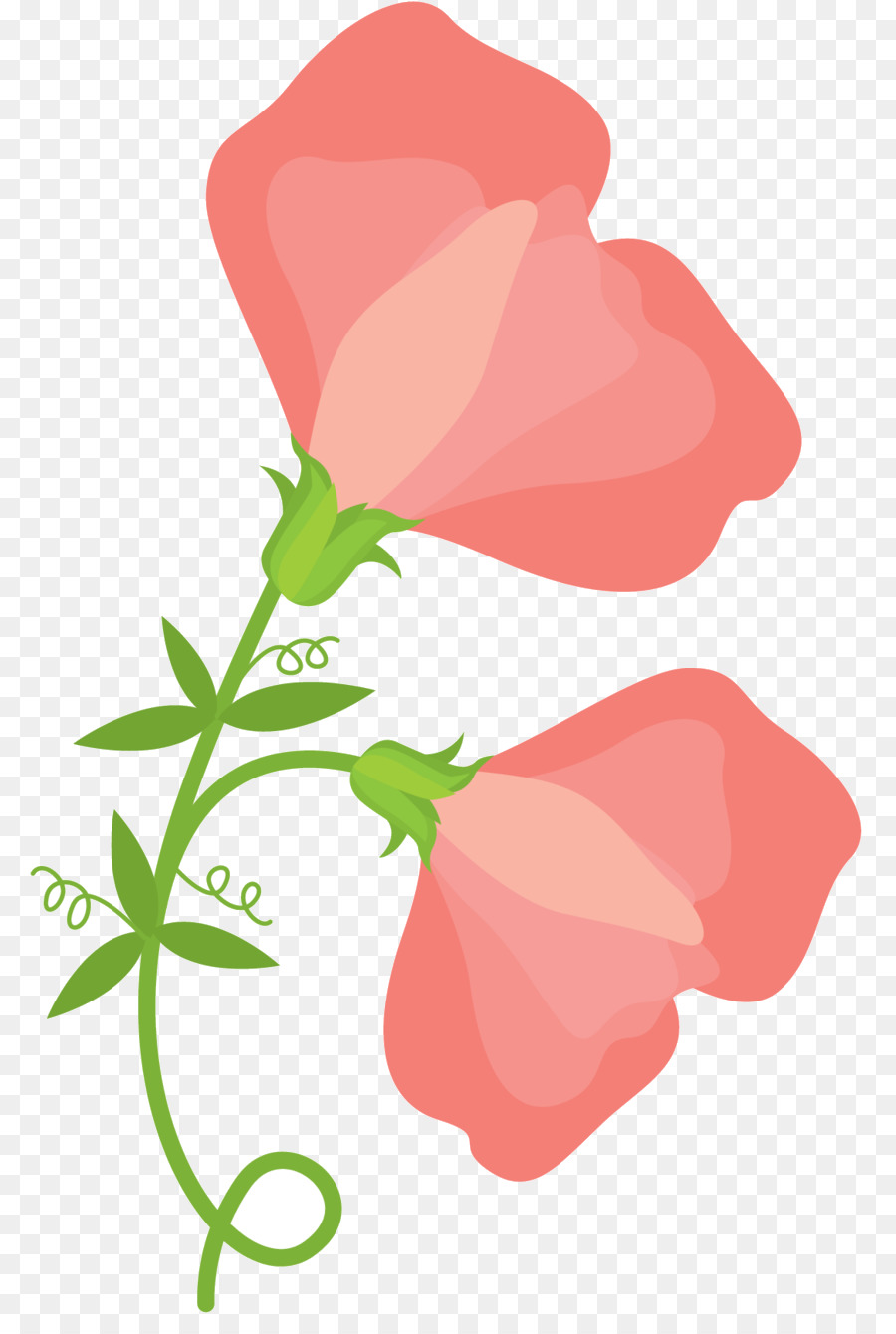 As Rosas Do Jardim，Design Floral PNG