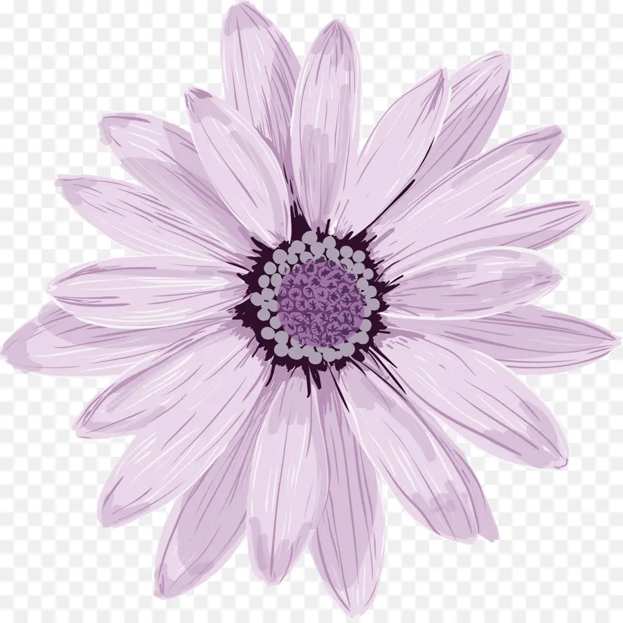 Flor Roxa，Florescer PNG