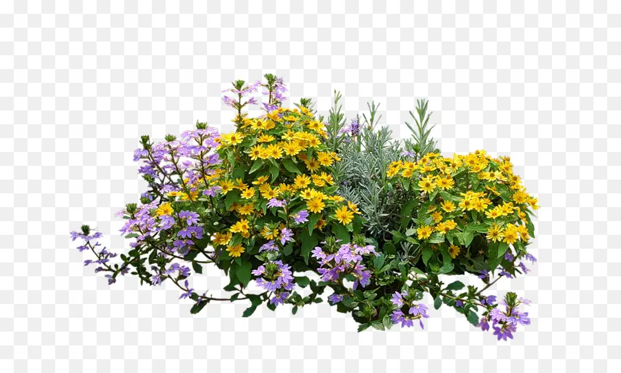 Arbusto，Jardim De Flores PNG