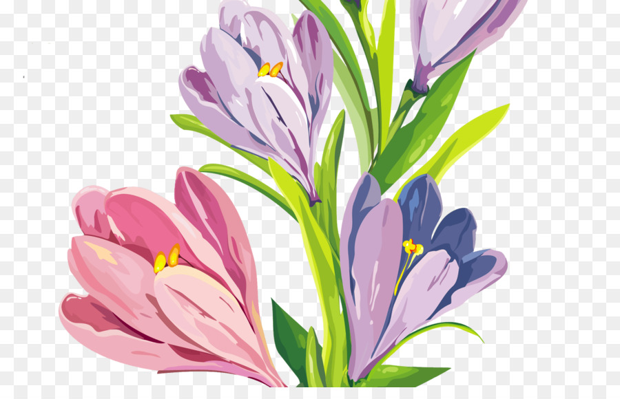 Flores Coloridas，Pote PNG