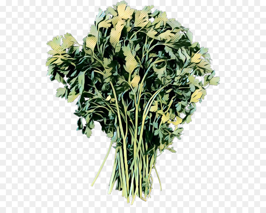 Vegetal，Verdes PNG