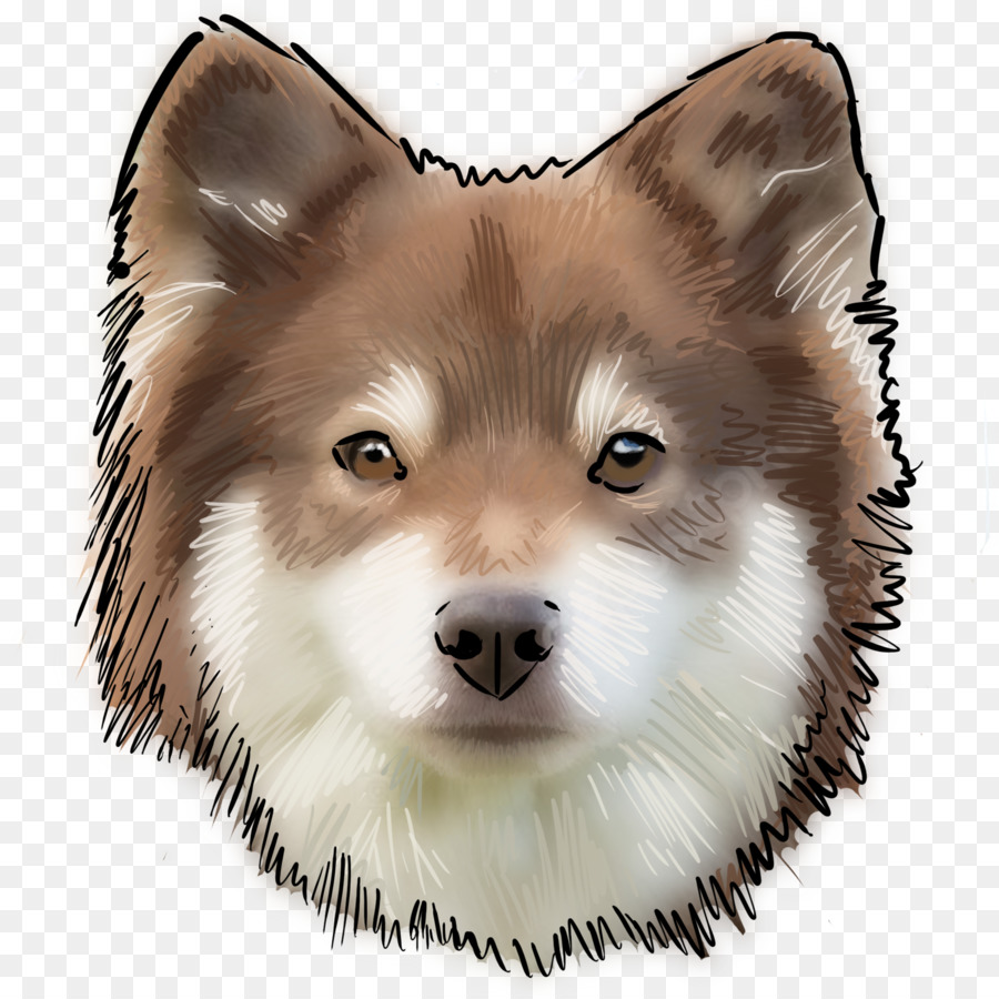 Spitz Alemão Mittel，Sakhalin Husky PNG