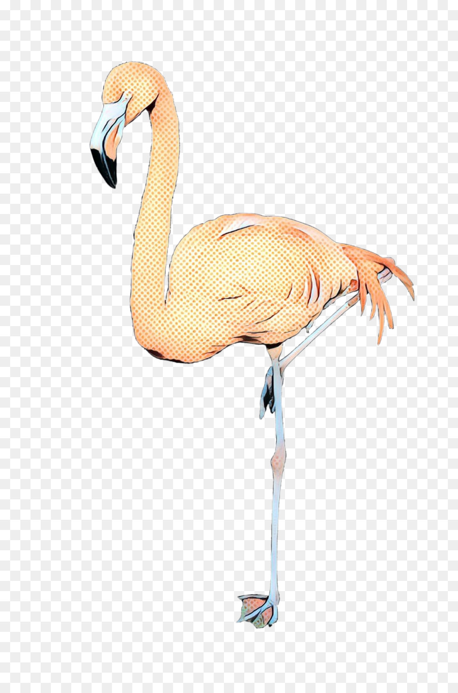 Flamingo，Pássaro PNG