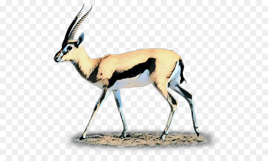 Gemsbok，Springbok PNG