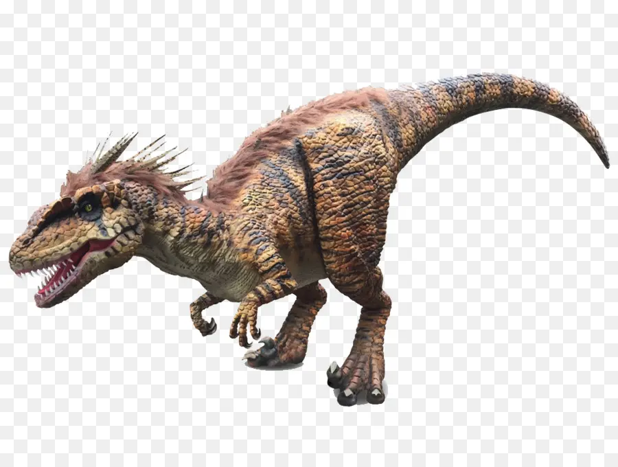 Dinossauro，Velociraptor PNG