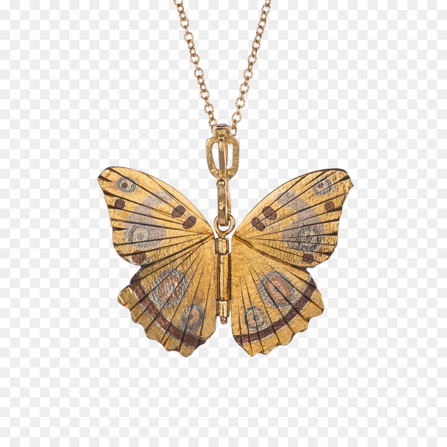 Borboleta Monarca，Necklace PNG